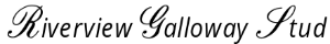 Riverview Galloway Stud